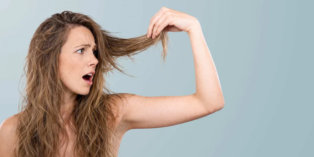 Capelli secchi e trattati: come curarli con shampoo nutriente, maschera intensiva e 8 consigli pratici
