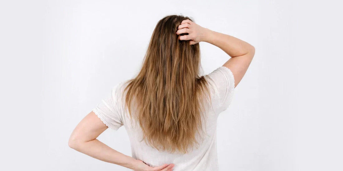 Cuoio capelluto grasso, capelli unti e grassi dopo lo shampoo: Le cause più comuni e come risolvere