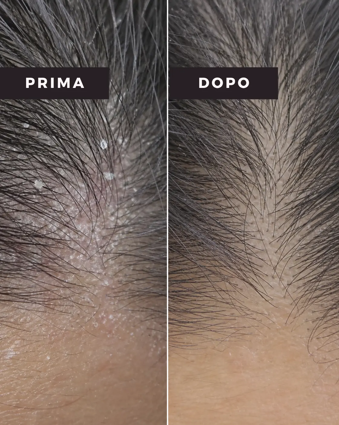 DÈLICE - Shampoo Idratante Nutriente Capelli Secchi - immagine 2