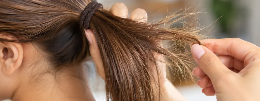 elastici per capelli che non spezzano, la guida per evitare lunghezze sfibrate, doppie punte e ciocche danneggiate dalla trazione durante la realizzazione della coda.