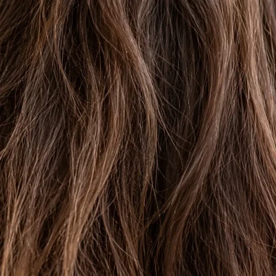 Capelli opachi e spenti castani con lunghezze dall'aspetto ruvido e crespo, caratterizzati da poca luminosità e riflessi naturali poco evidenti.