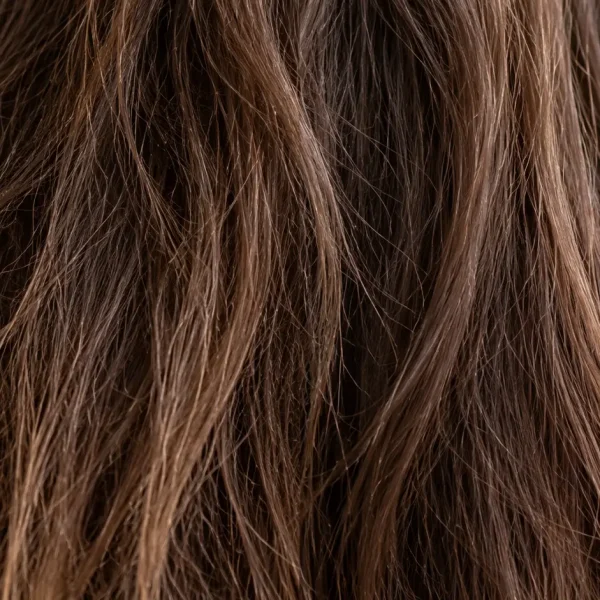 Capelli opachi e spenti castani con lunghezze dall'aspetto ruvido e crespo, caratterizzati da poca luminosità e riflessi naturali poco evidenti.