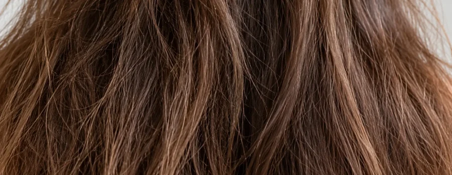 Capelli opachi e spenti castani con lunghezze dall'aspetto ruvido e crespo, caratterizzati da poca luminosità e riflessi naturali poco evidenti.