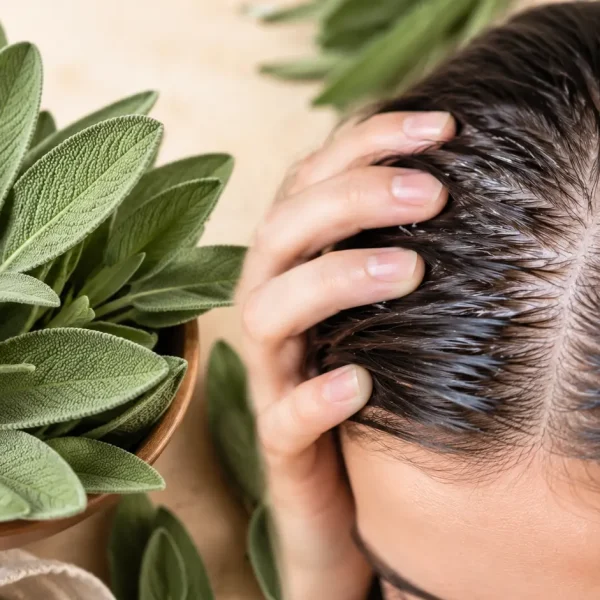 Salvia per capelli grassi e cute grassa, rimedio naturale per riequilibrare il cuoio capelluto natu
